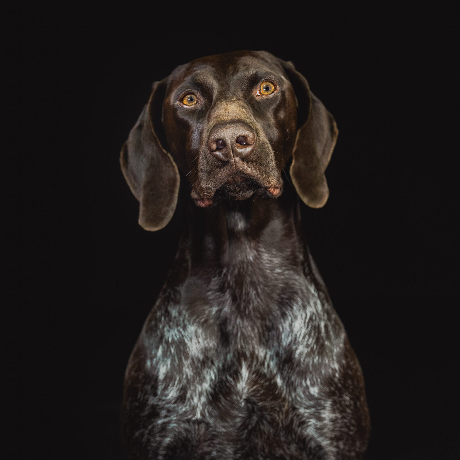 Verkaufsunterstützung