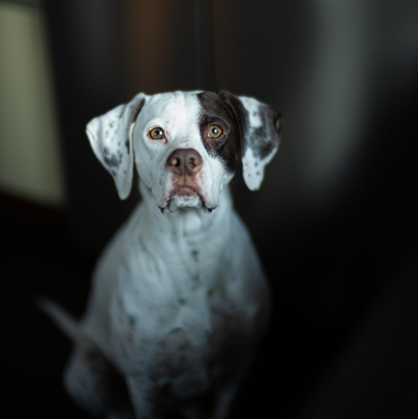 Molly Verkaufsunterstützung