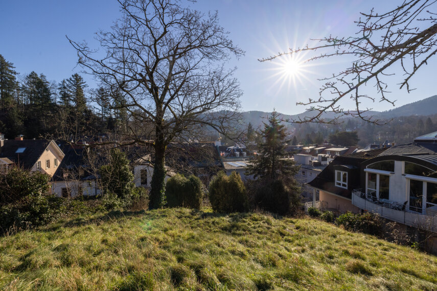 Blick vom Gemeinschaftsgarten